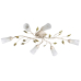 Люстра потолочная MW-Light Восторг 242015306 Люстра потолочная MW-Light Восторг 242015306