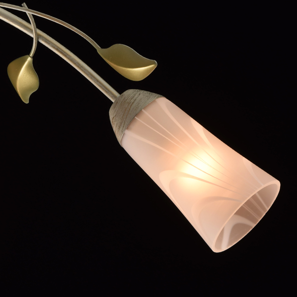 Люстра потолочная MW-Light Восторг 242015306 Люстра потолочная MW-Light Восторг 242015306