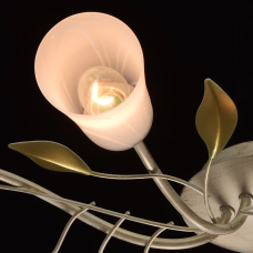 Люстра потолочная MW-Light Восторг 242015306 Люстра потолочная MW-Light Восторг 242015306