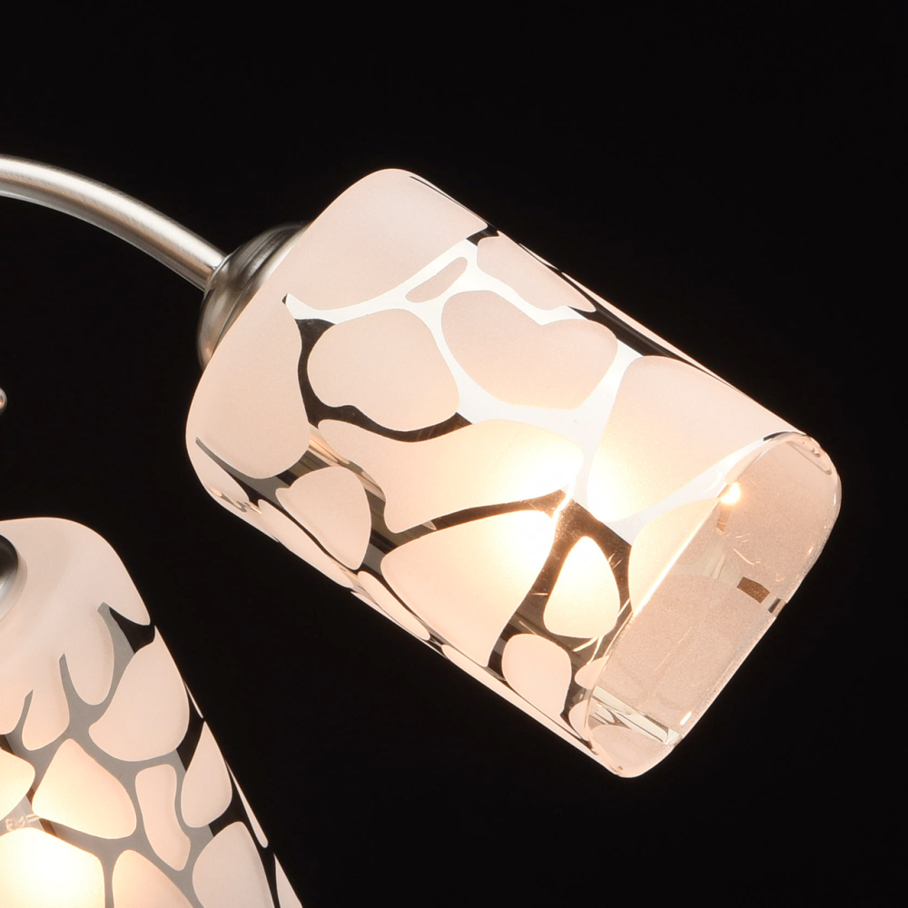 Люстра потолочная MW-Light Олимпия 261019505 Люстра потолочная MW-Light Олимпия 261019505