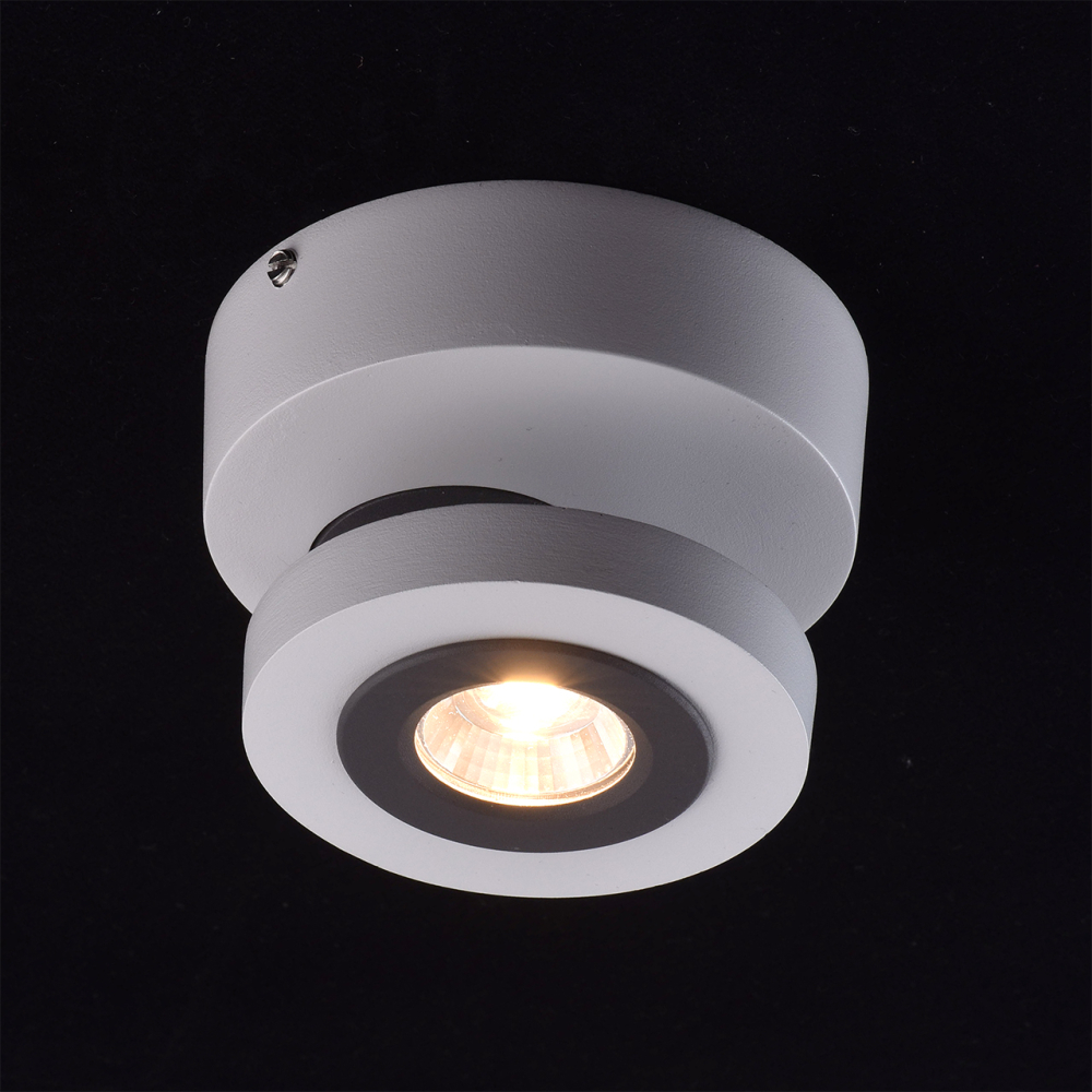 Спот MW-Light Астор Спот MW-Light Астор