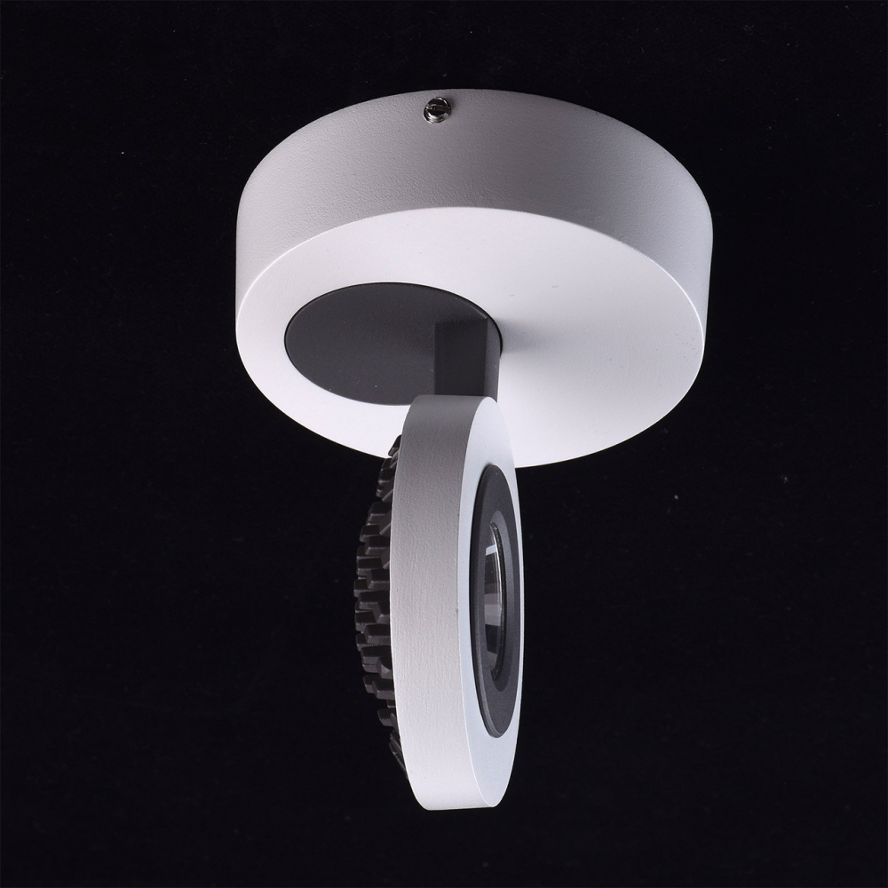 Спот MW-Light Астор Спот MW-Light Астор